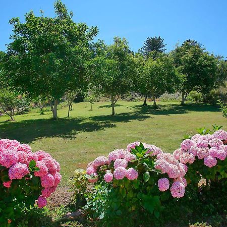 Pension Casa Elena Reinante Екстериор снимка